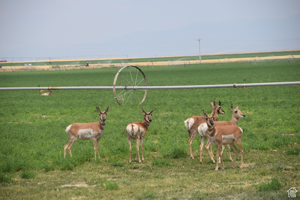 View of community featuring a view of rural / pastoral area