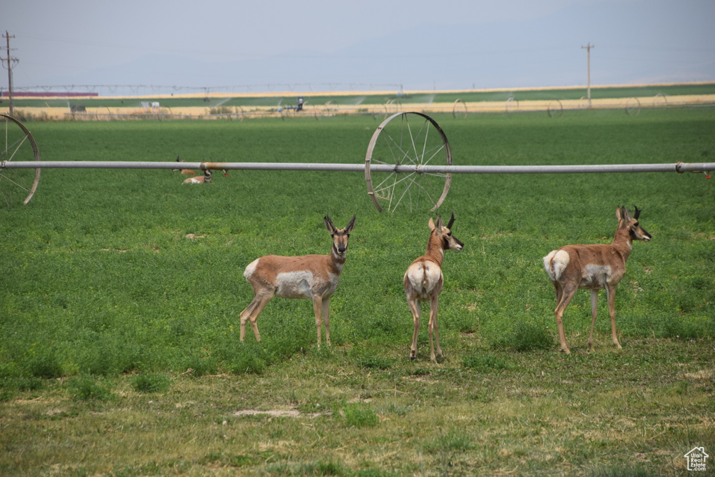 View of property's community featuring a rural view