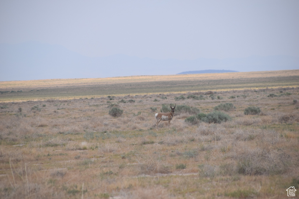 View of local wilderness with rural landscape