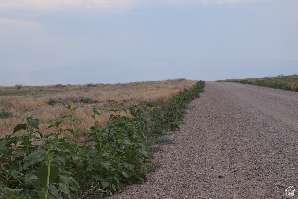 View of dirt / gravel road featuring a mountain view and a rural view