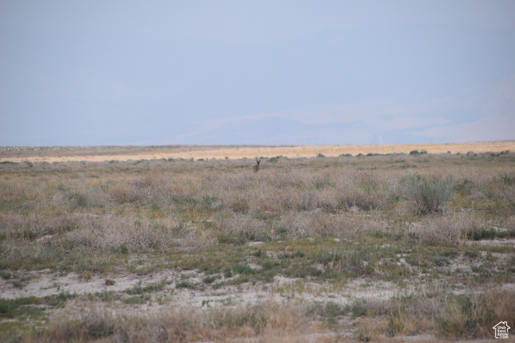 View of nature with rural landscape