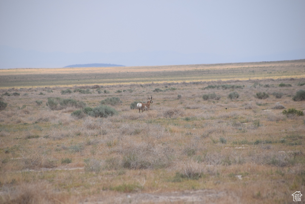 View of local wilderness featuring rural landscape