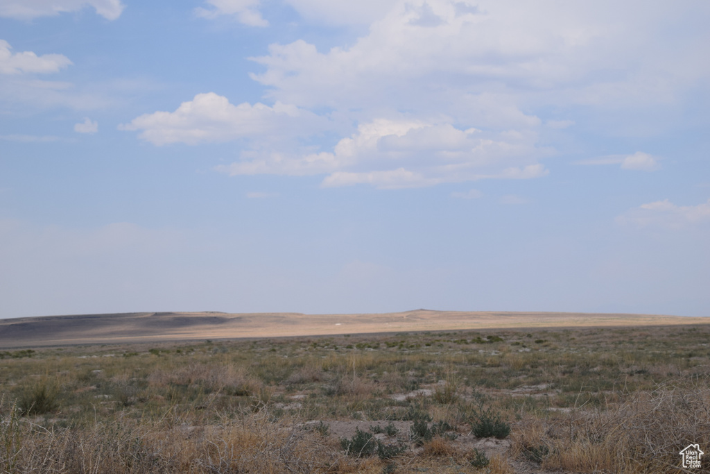 View of nature