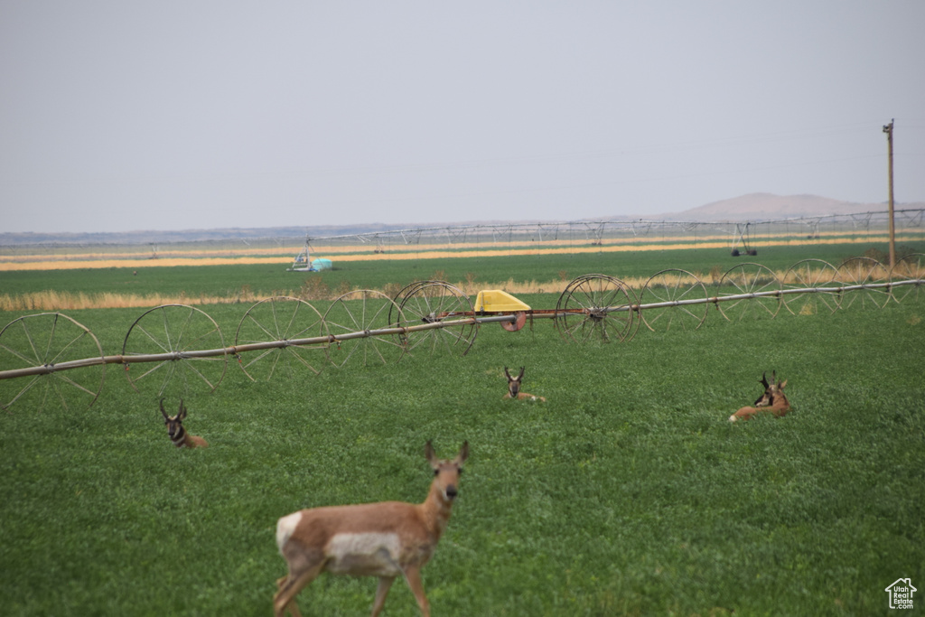 View of community featuring a rural view