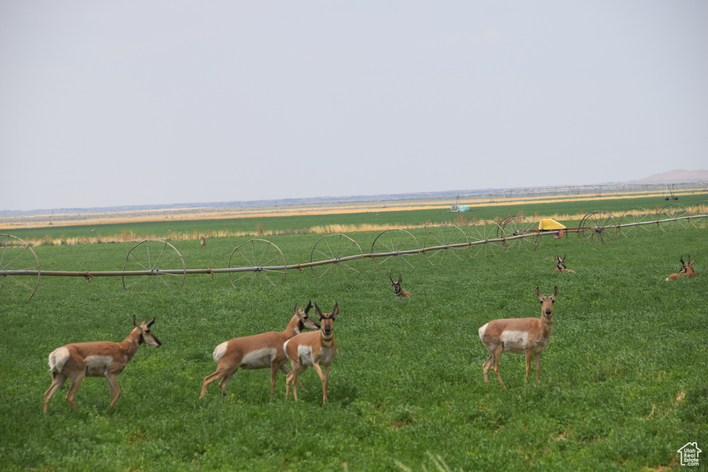 View of home's community with a view of rural / pastoral area