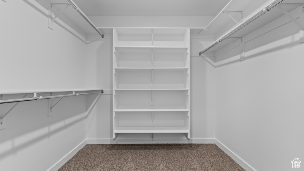Spacious closet featuring dark colored carpet
