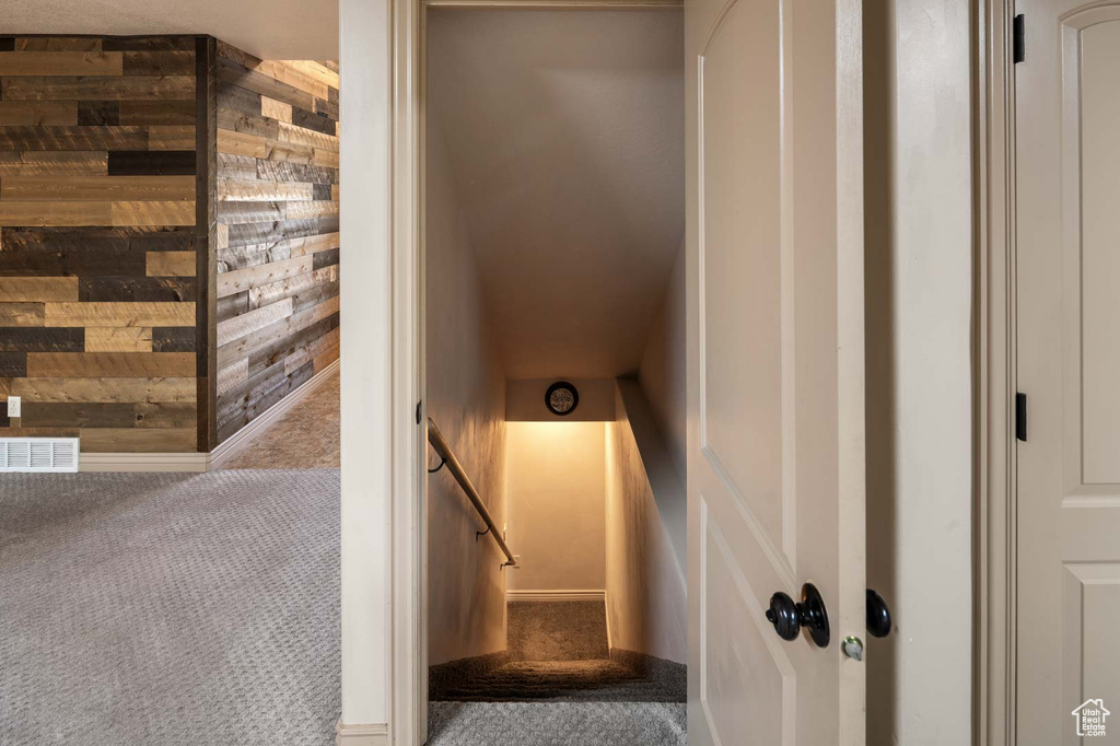 Stairs with carpet and wooden walls