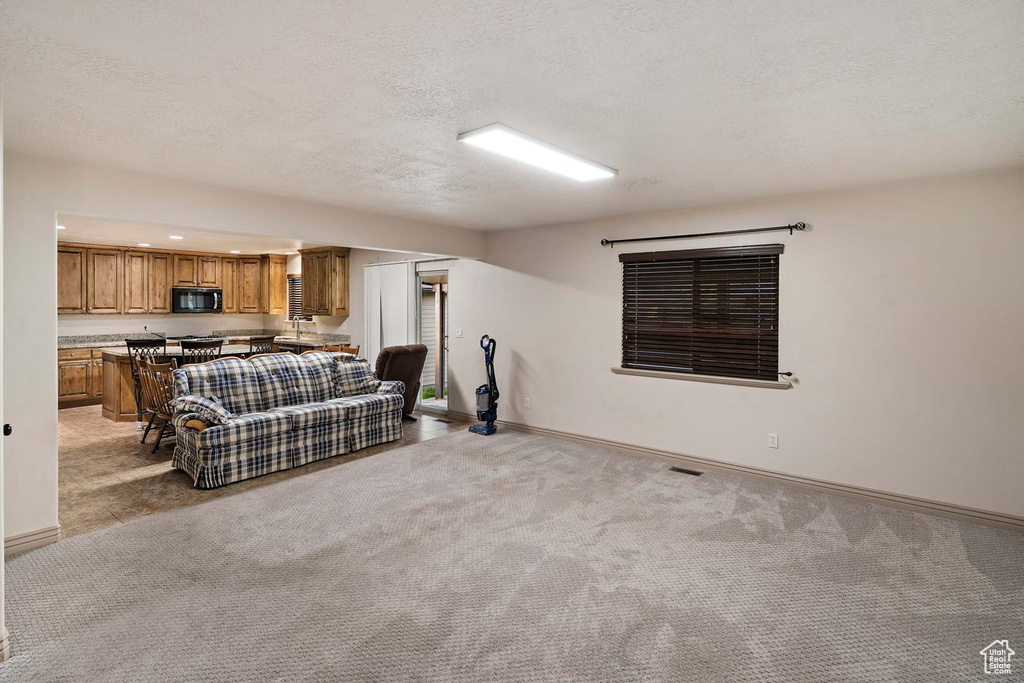 Living area featuring light carpet, baseboards, and a textured ceiling