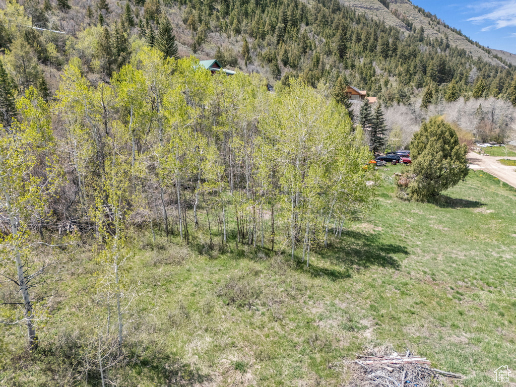 Drone / aerial view of a heavily wooded area and a mountain backdrop