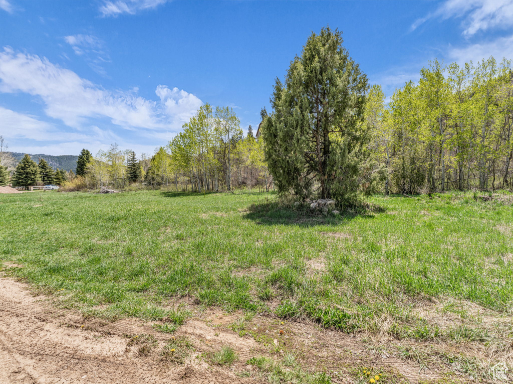 View of yard with a view of trees and a rural view