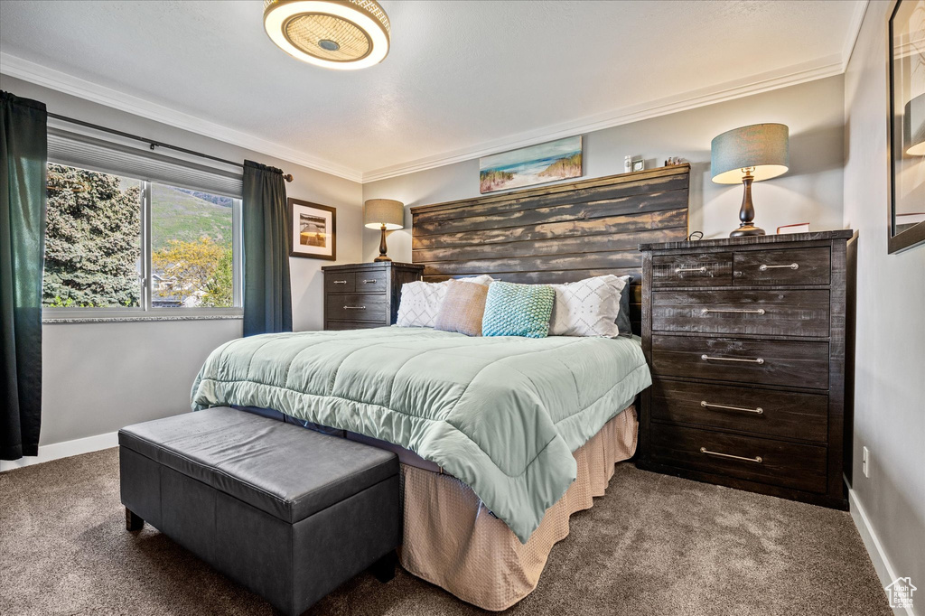Carpeted bedroom featuring crown molding and baseboards