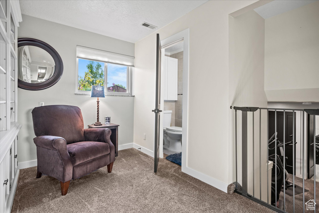 Living area featuring carpet, baseboards, and a textured ceiling