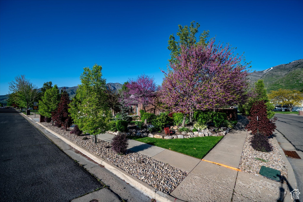 View of property exterior with a mountain view