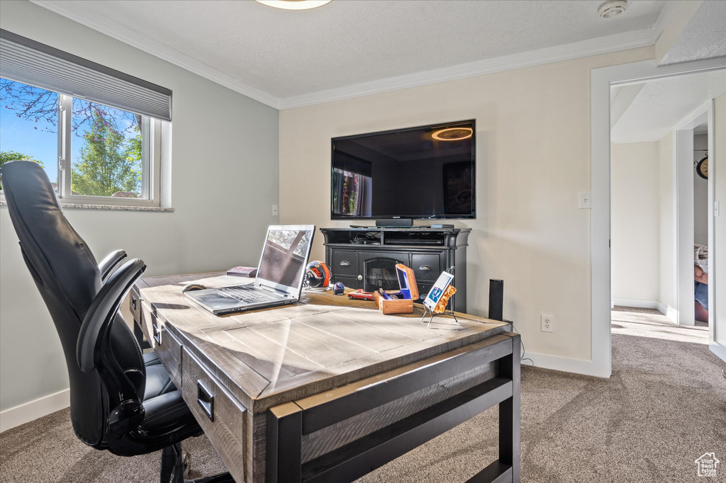 Carpeted office space with crown molding and baseboards
