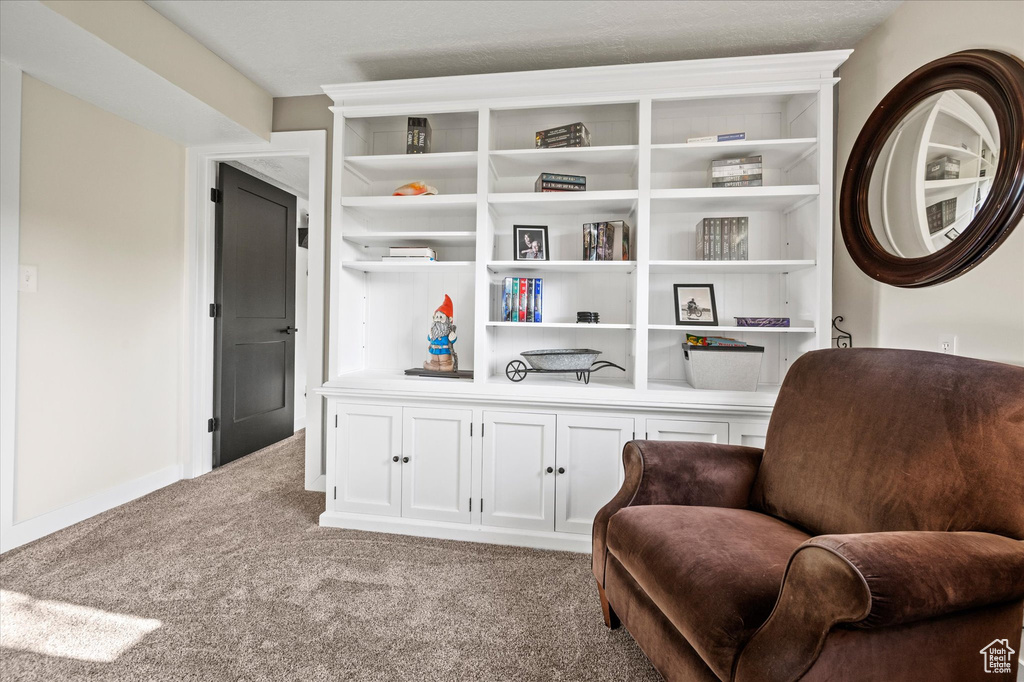 Living area with carpet flooring