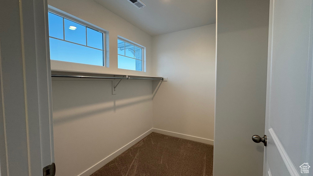 Spacious closet featuring dark colored carpet