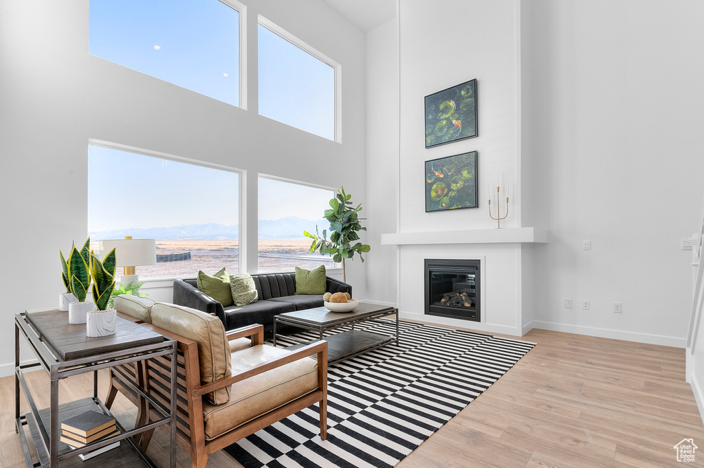 Living area with wood finished floors, a towering ceiling, baseboards, and a glass covered fireplace