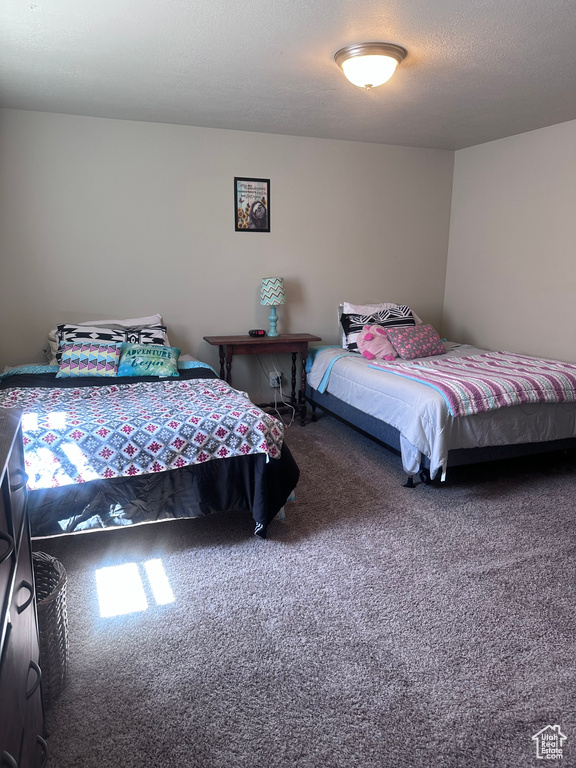 Bedroom with carpet flooring