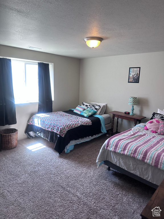 Carpeted bedroom featuring a textured ceiling