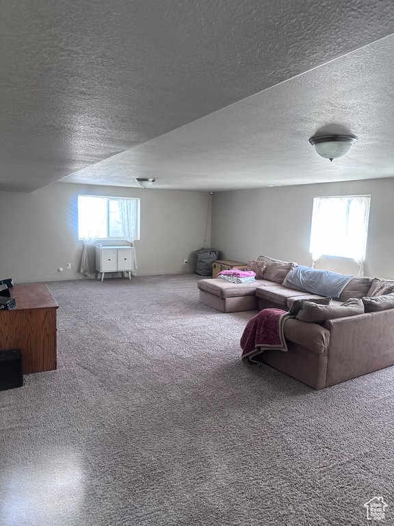 Living area featuring carpet flooring, a textured ceiling, and healthy amount of natural light