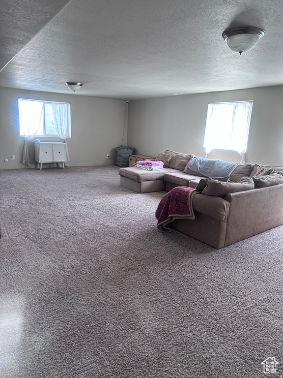 Carpeted living area with a textured ceiling
