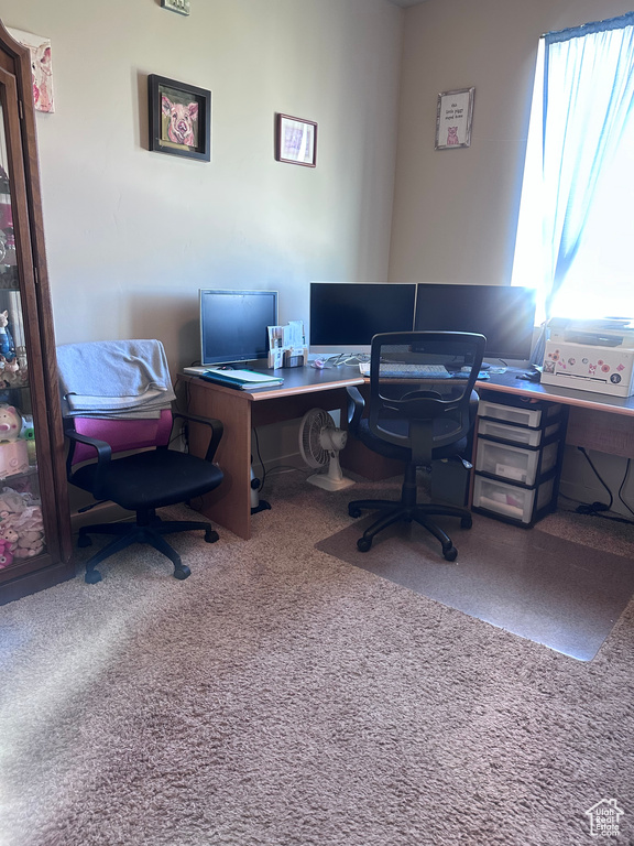 Home office featuring carpet flooring