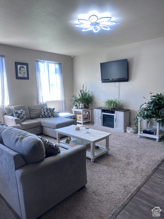 Living room featuring wood finished floors and a textured ceiling