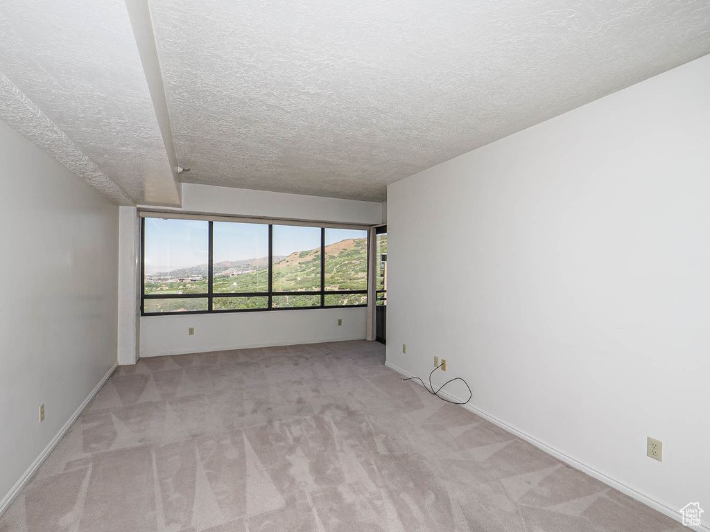 Empty room featuring a textured ceiling, light carpet, and baseboards