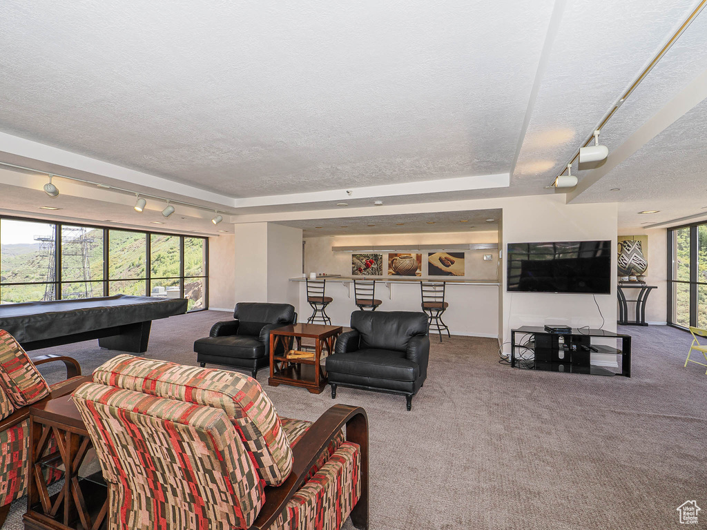 Living room featuring carpet, billiards, a textured ceiling, and rail lighting