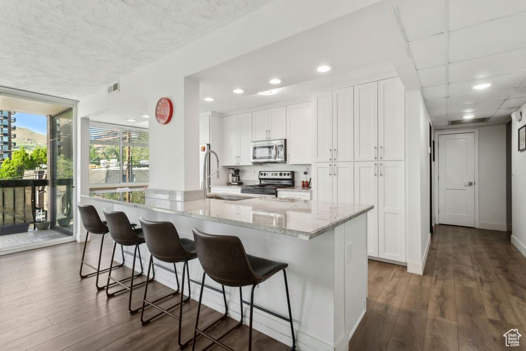 Kitchen featuring stainless steel appliances, a sink, a wall of windows, dark wood finished floors, and white cabinetry