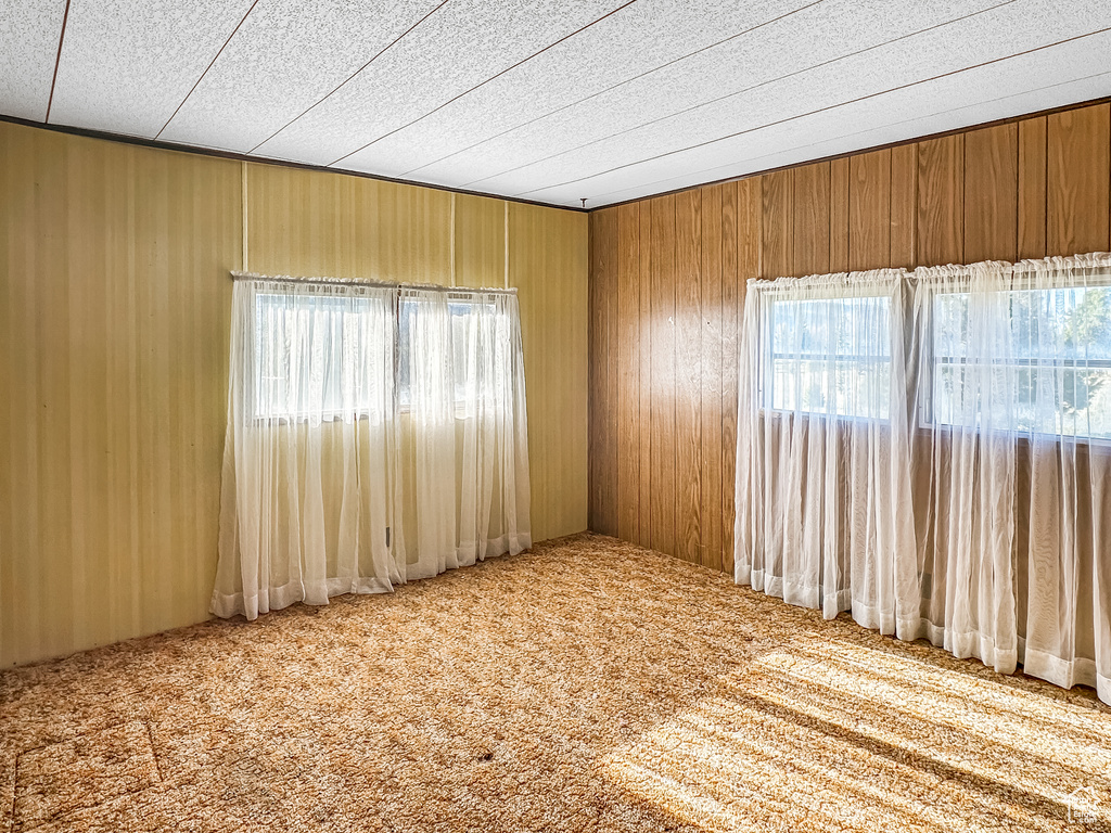 Empty room featuring carpet flooring and wooden walls