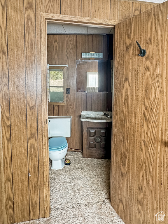 Bathroom featuring toilet, vanity, and wood walls