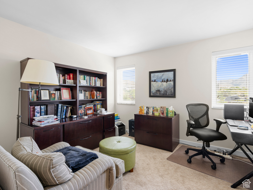 Office area with light carpet