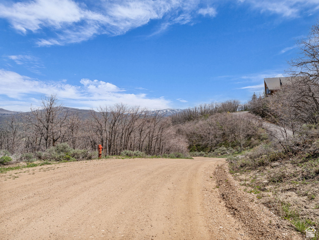 View of dirt / gravel road