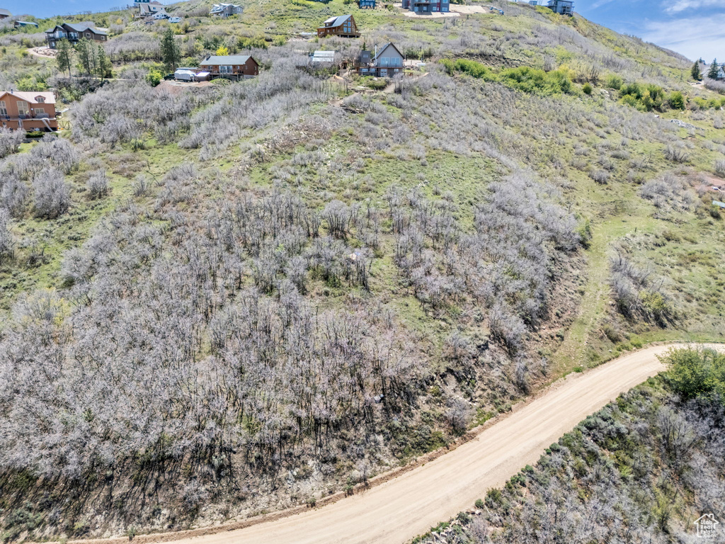 Bird\'s eye view