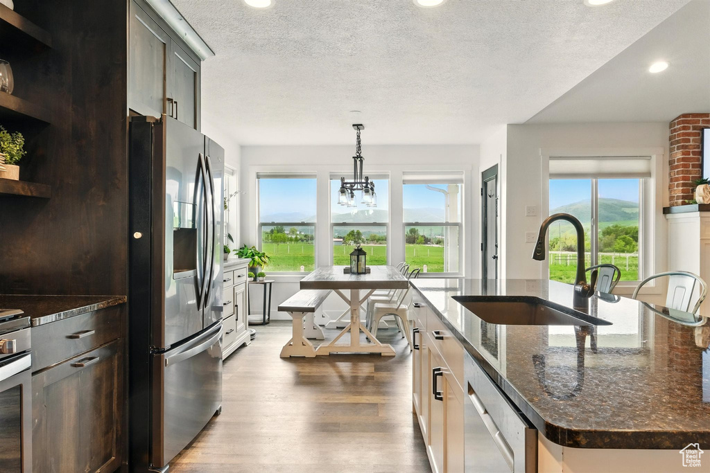 Kitchen with stainless steel appliances, open shelves, a sink, healthy amount of natural light, and recessed lighting
