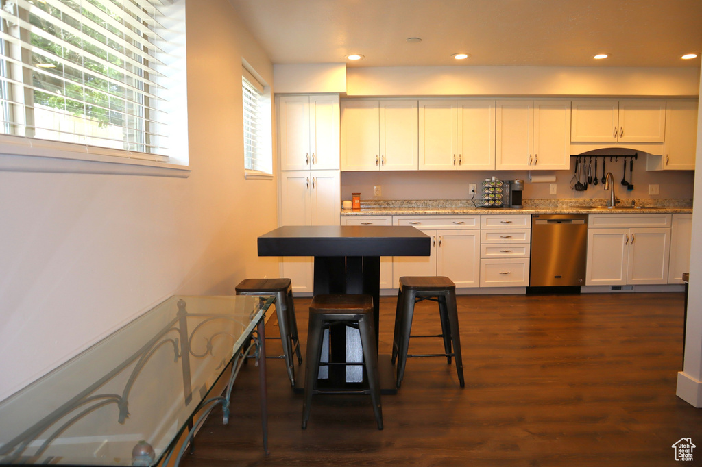 Kitchen featuring stainless steel dishwasher, healthy amount of natural light, a sink, dark wood-style flooring, and recessed lighting