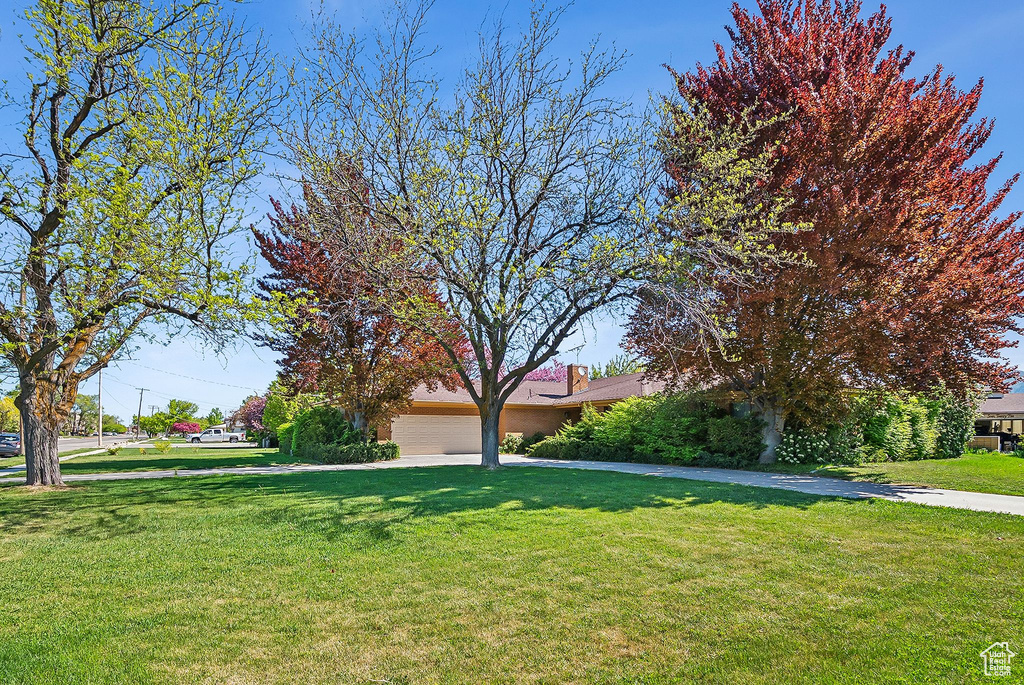 View of property hidden behind natural elements featuring a front lawn, an attached garage, and a chimney