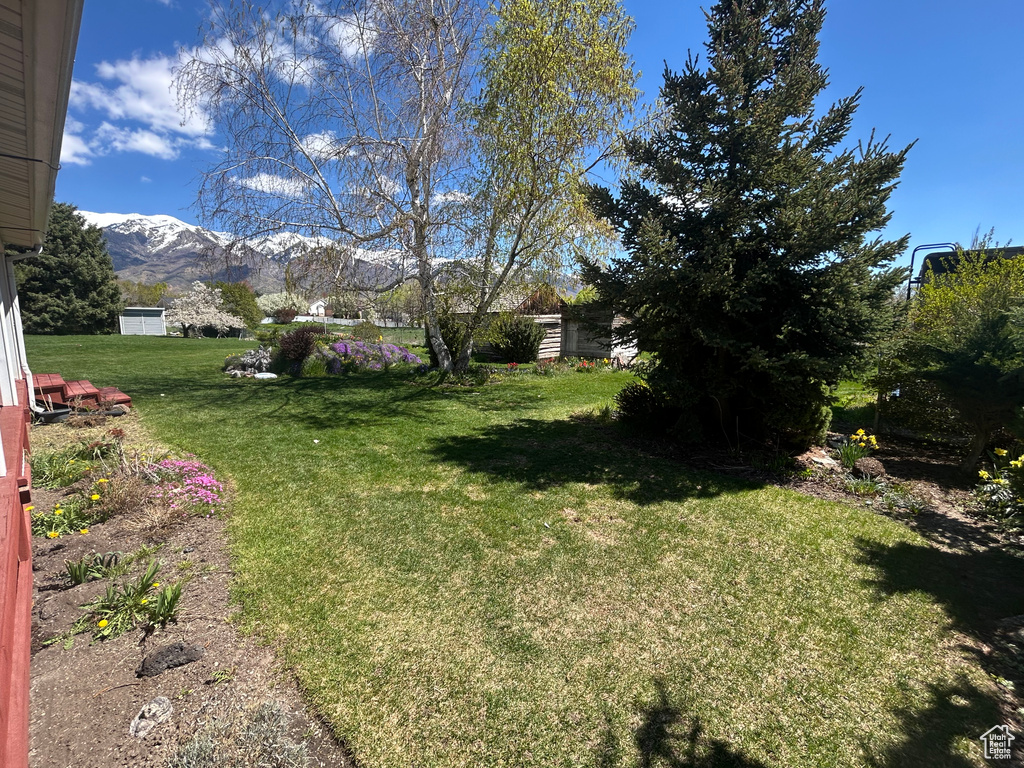 View of green lawn with a mountain view
