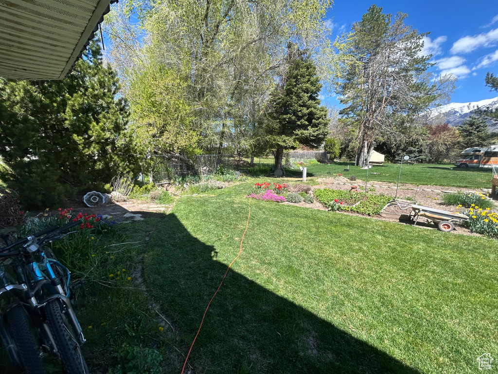 View of grassy yard