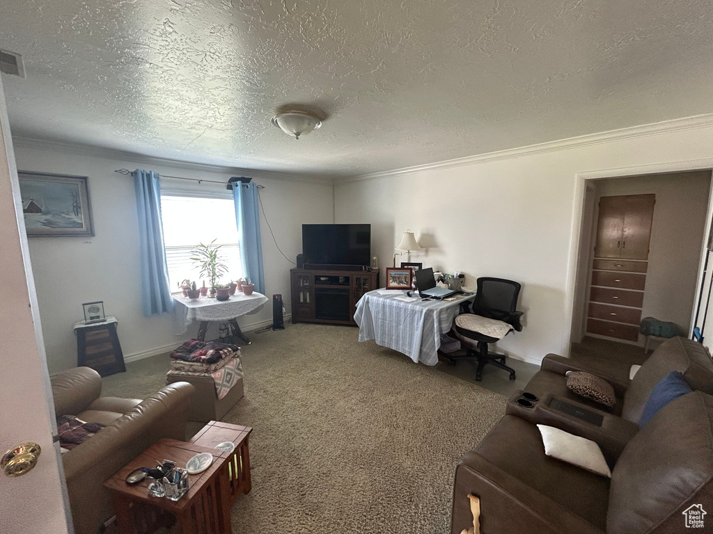 Carpeted living area with a textured ceiling, crown molding, and baseboards