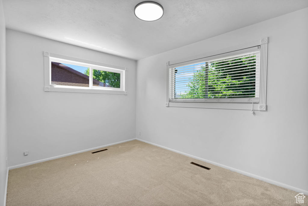 Carpeted spare room featuring healthy amount of natural light and baseboards