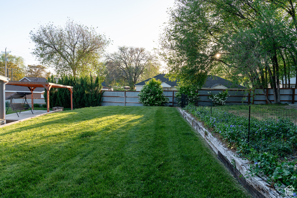 View of yard