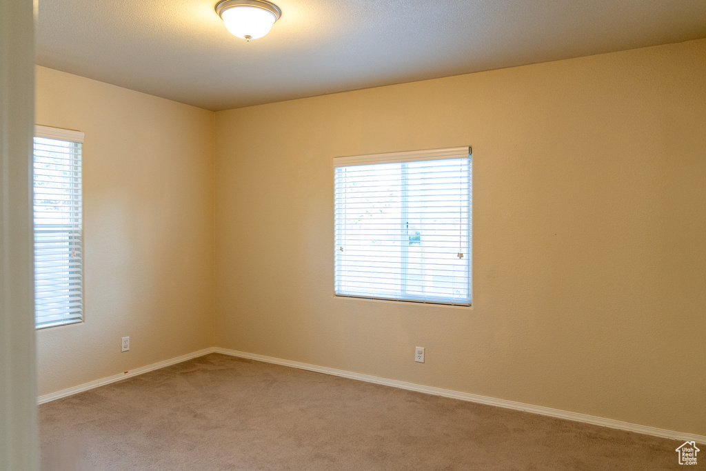 Empty room featuring light carpet, healthy amount of natural light, and baseboards