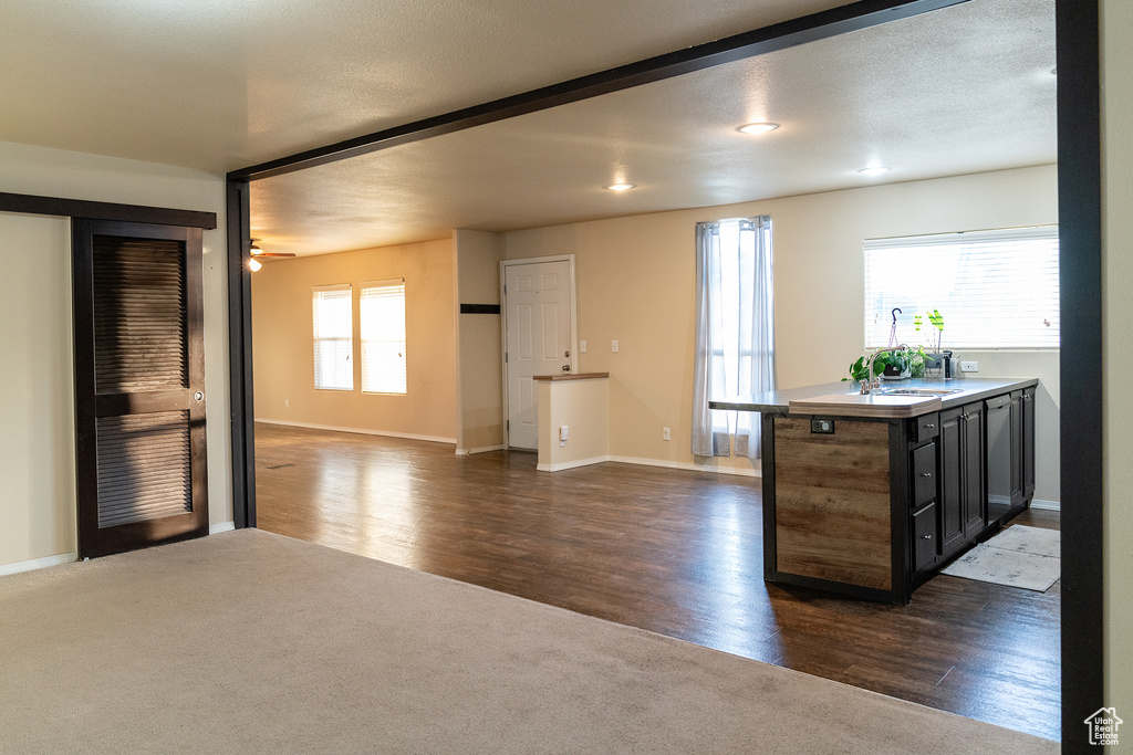 Kitchen featuring baseboards, dark carpet, a ceiling fan, and dark wood finished floors