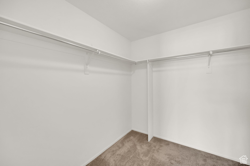 Walk in closet with carpet flooring