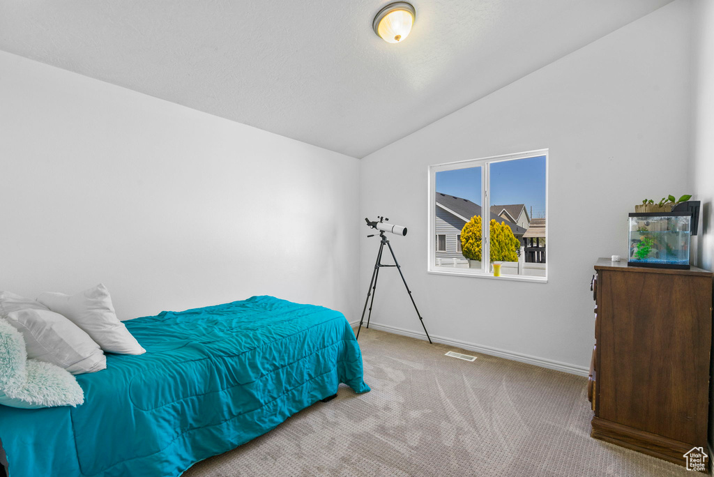 Carpeted bedroom with vaulted ceiling and baseboards