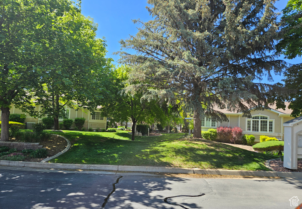 View of property hidden behind natural elements with a front yard