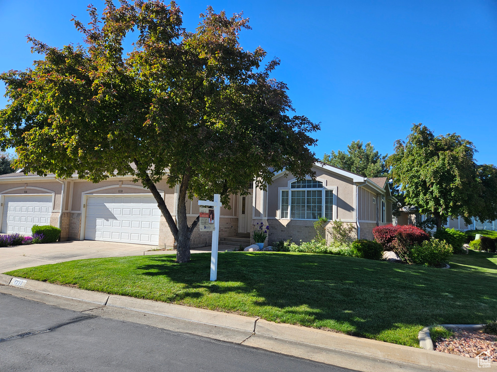 View of property hidden behind natural elements with concrete driveway, a front yard, stucco siding, and a garage