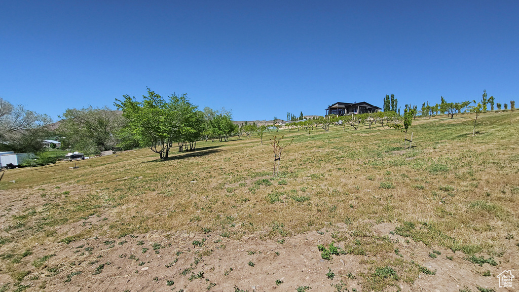 View of yard featuring a rural view